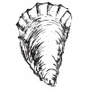 Big Oyster Brewery